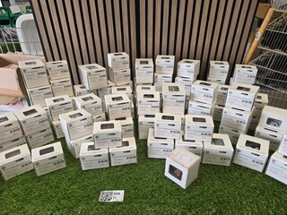 Slagpluggen en pluggen ca 75 dozen HECO, partij